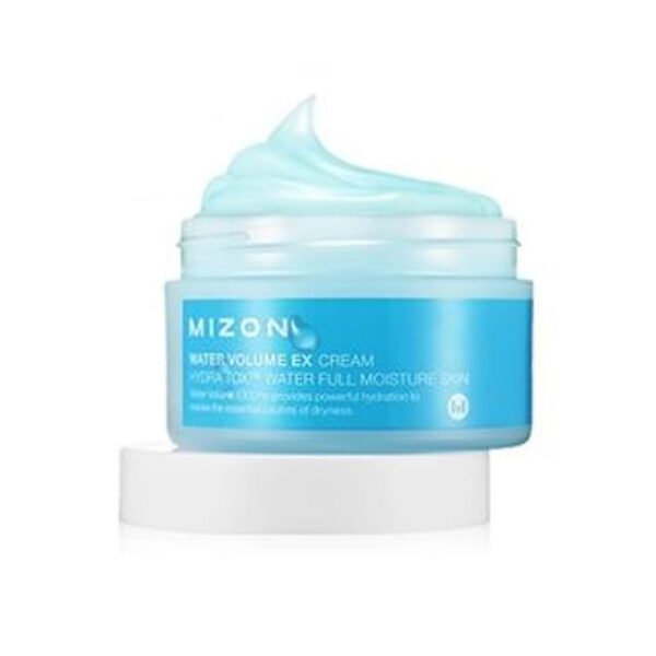 Avis Water Volume EX Cream MIZON